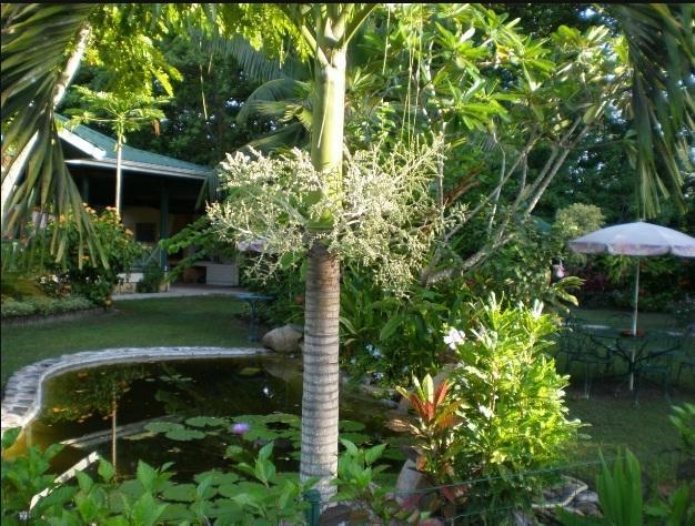 Diguoise Guest House Đảo Đảo La Digue Ngoại thất bức ảnh