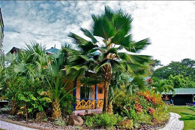 Diguoise Guest House Đảo Đảo La Digue Ngoại thất bức ảnh