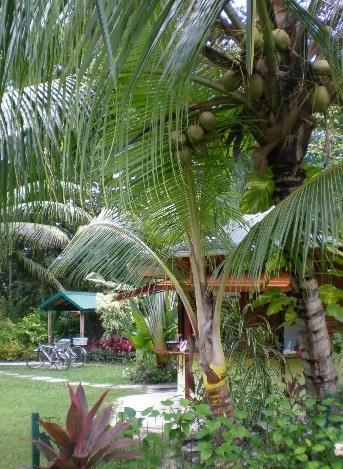 Diguoise Guest House Đảo Đảo La Digue Ngoại thất bức ảnh